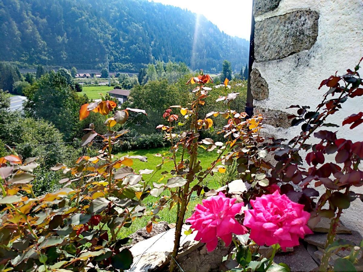 Cjasa da Puci Apartment Ovaro Bagian luar foto
