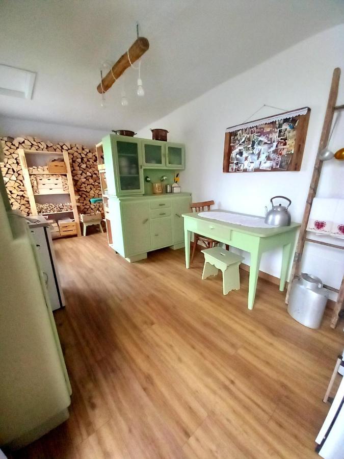 Cjasa da Puci Apartment Ovaro Bagian luar foto